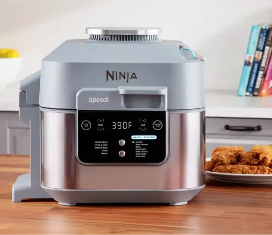 What Are The Disadvantages Of The Ninja Air Fryer