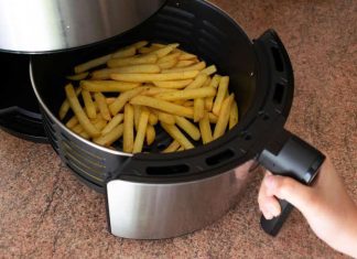 how to choose the right air fryer for your needs 4